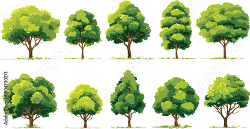 Ten diverse green trees with brown trunks and grassy bases on a white background nature plant