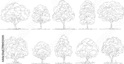 Ten black and white line of deciduous trees with detailed foliage and trunks set against a white background