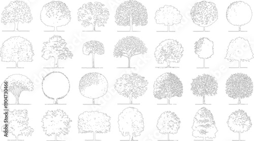 Collection of black and white line of various deciduous trees with detailed foliage and trunks outline 1