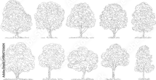Ten distinct black and white line of deciduous trees with detailed foliage and grass bases outline