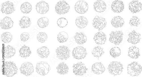 Collection of view outline of various trees with irregular leafy canopies canopy foliage