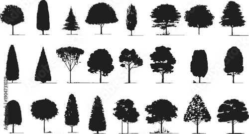 Collection of black tree silhouettes with varied shapes and sizes on a white background. Diverse foliage and trunk structures are visible