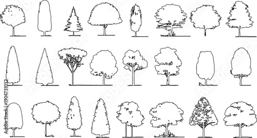 Collection of black and white line of various trees including deciduous and coniferous types with detailed foliage and trunk structures