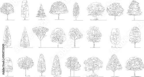 Collection of black and white line trees in various shapes and sizes. Various deciduous and coniferous tree outlines
