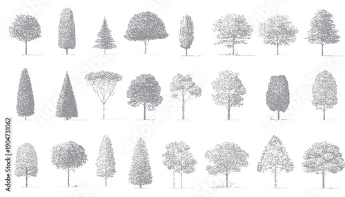 Collection of diverse grey trees rendered in stippled texture on a white background nature plant foliage