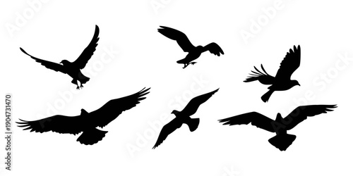 A group of seven black birds flying in a clear sky with no background Vector