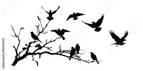 Silhouettes of birds perched and flying around a bare tree branch Vector