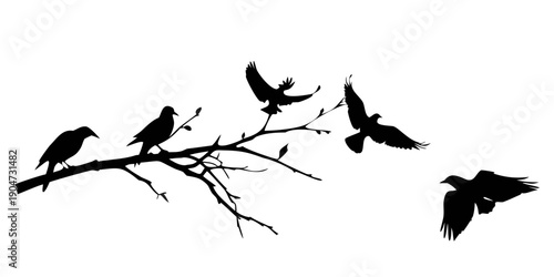 A group of birds perched on a branch and flying in the sky. Vector