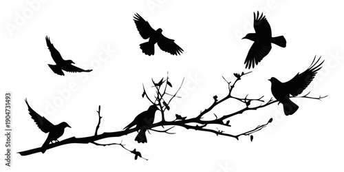 A flock of birds perched on a branch with a single flower Vector
