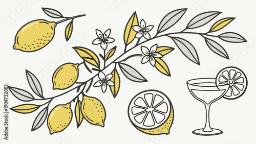 Hand drawn lemon branch with flowers, whole and sliced lemons, and a cocktail glass illustration.