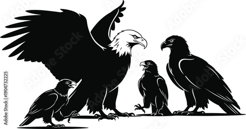 Silhouette of an eagle with three smaller birds on a plain background