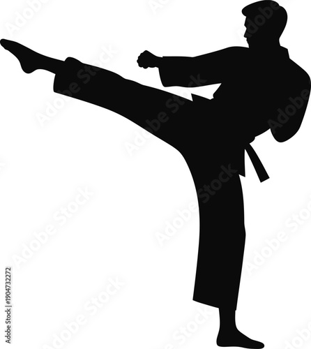 Dynamic martial arts high kick silhouette showing powerful athletic movement and focused training on white background
