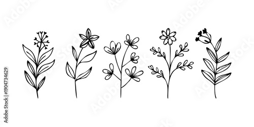 A beautiful illustration of five different types of flowers Vector