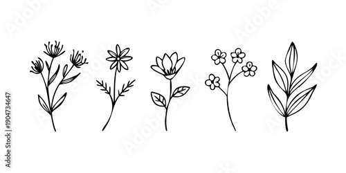 A beautiful illustration of five different types of flowers with intricate details Vector