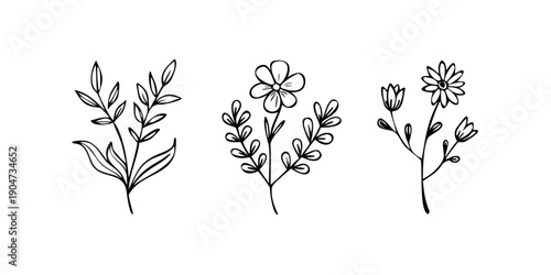 Three elegant line drawings of different types of flowers Vector