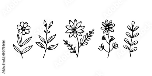 A delightful arrangement of five distinct black and white floral illustrations Vector