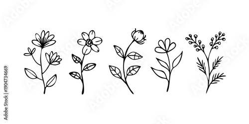 A delightful arrangement of five different floral illustrations in black and white Vector