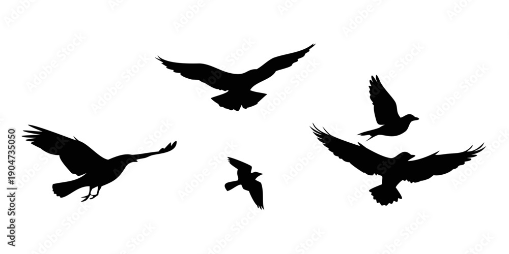 Fototapeta premium A group of five birds in flight against a white background Vector