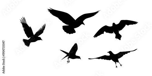 A group of six black birds flying in different directions against a white background Vector