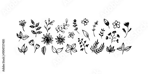 A delightful assortment of intricate black and white floral and nature illustrations Vector