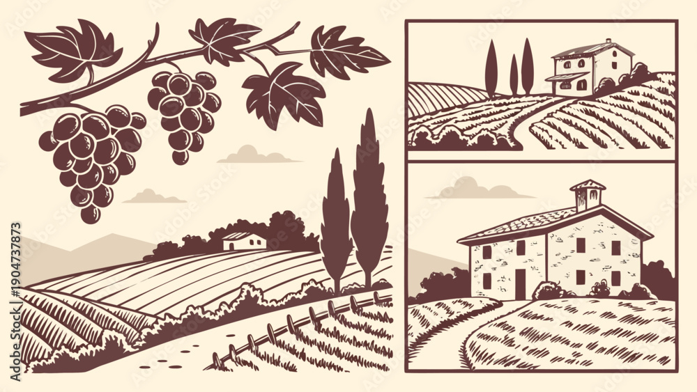 Naklejka premium Vintage hand drawn vineyard landscape with grapes and old country house illustration set