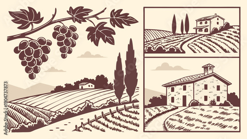 Vintage hand drawn vineyard landscape with grapes and old country house illustration set