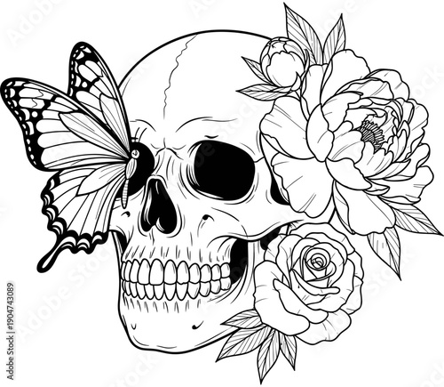 Detailed line art illustration of a human skull with roses and peonies adorned by a butterfly, gothic floral art and memento mori concept