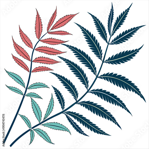 plant leaves, plants watercolor element, transparent background
