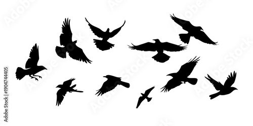Fotografi A flock of birds in flight against a white background Vector