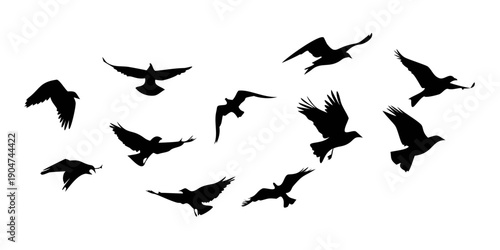 Bild auf Leinwand A flock of birds flying in a scattered formation against a white background Vect