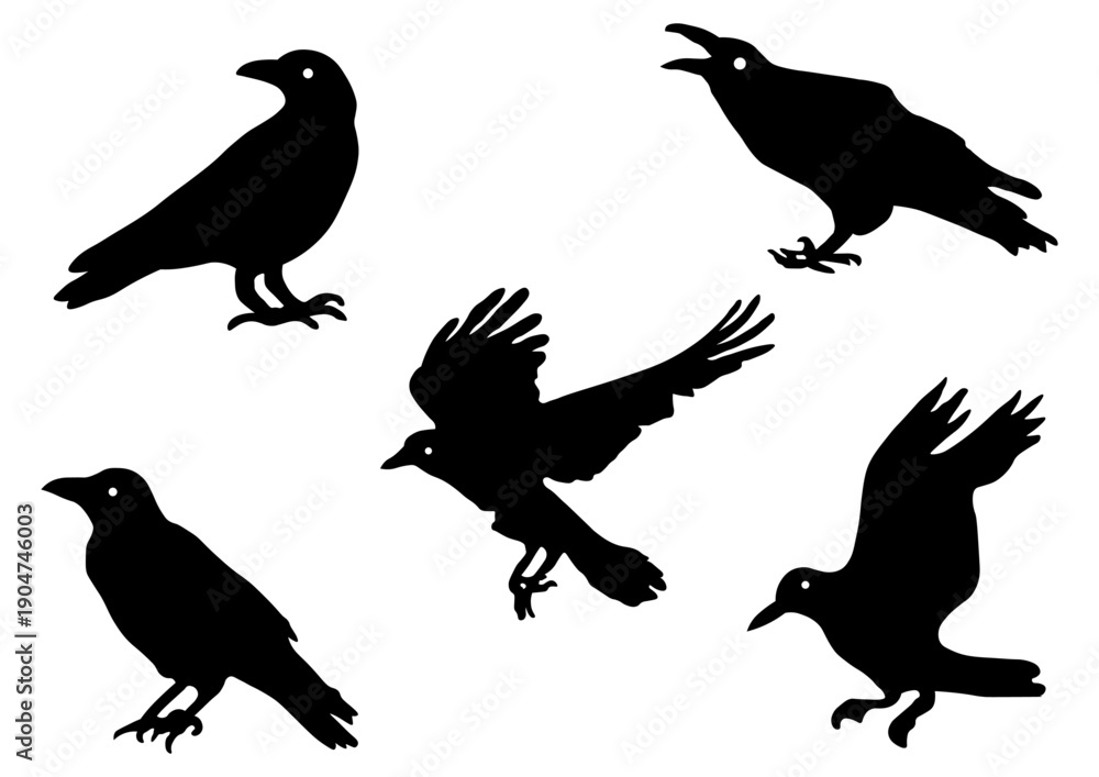 Naklejka premium カラス