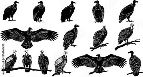 Set of black vulture silhouettes in different poses including soaring perched and standing, scavenger bird wildlife icons for nature design