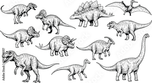 Dinosaur skeleton and species set, hand drawn prehistoric animal sketches, jurassic wildlife collection, ancient reptile icons, black white vector illustration, cad drawing flat vector illustration