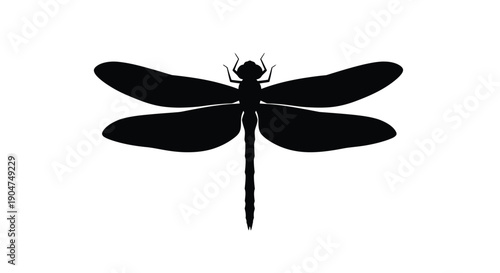 A striking black dragonfly form against a white background silhouette
