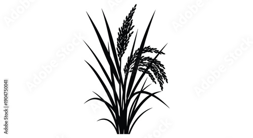 Detailed illustration of rice plants and stalks in black silhouette