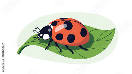 A colorful ladybug sitting on a green leaf in a minimalist vector illustration