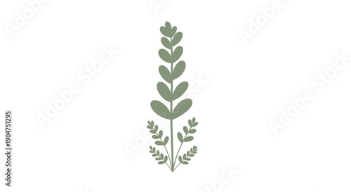 hand‑drawn plant illustration showing slender stem and leaf symmetry in muted green, viewed centered against clean white backdrop