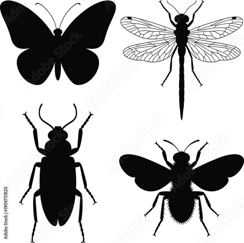 Four black and white insect silhouettes butterfly dragonfly beetle fly