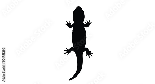Black lizard form presented as a striking graphic silhouette