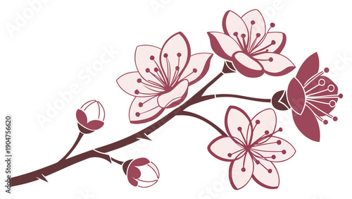 Beautiful pink cherry blossom branch illustration isolated on a white background for spring design