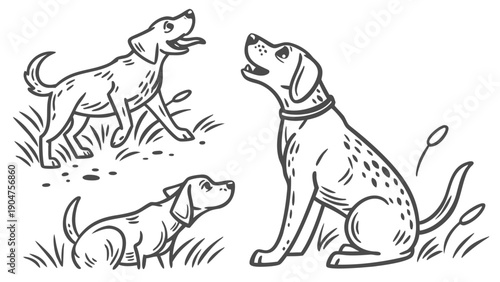 Hand drawn illustration of three friendly dogs sitting and playing in a grassy meadow.