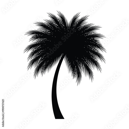 A beautiful green palm tree vector, perfect for illustrating exotic landscapes and conveying a serene, natural atmosphere.