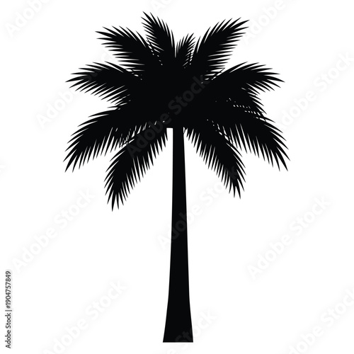 Artistic vector element of a green palm tree, perfect for adding a touch of tropical flair to designs related to holidays and nature.
