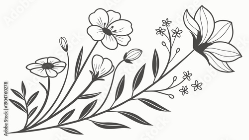 Hand drawn floral branch with blooming wild flowers and delicate leaves on white background