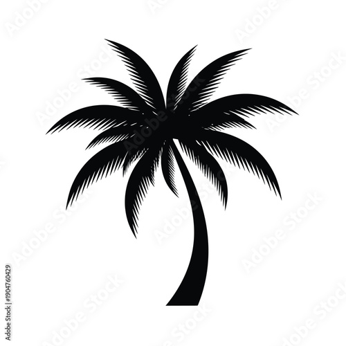Palm tree vector art with detailed leaves, ideal for realistic tropical scenes and naturalistic designs.