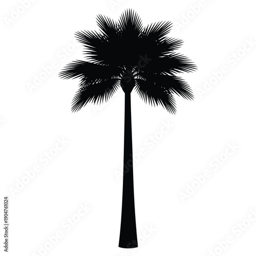 Elegant vector drawing of a palm tree, suitable for luxury resort branding, spa advertisements, and sophisticated designs.
