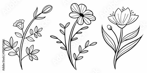A delicate illustration of three different types of flowers with long stems and leaves Vector