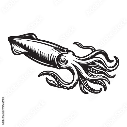 A striking illustration captures the essence of a squid, rendered in bold monochrome lines, emphasizing its unique form.