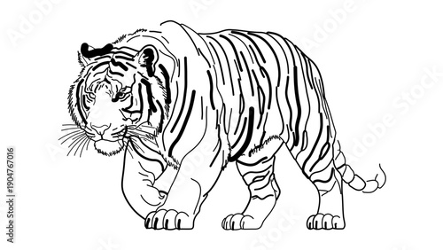 A black and white vector illustration of a tiger in a crouched position