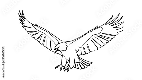 A minimalist vector illustration of an eagle in flight with outstretched wings